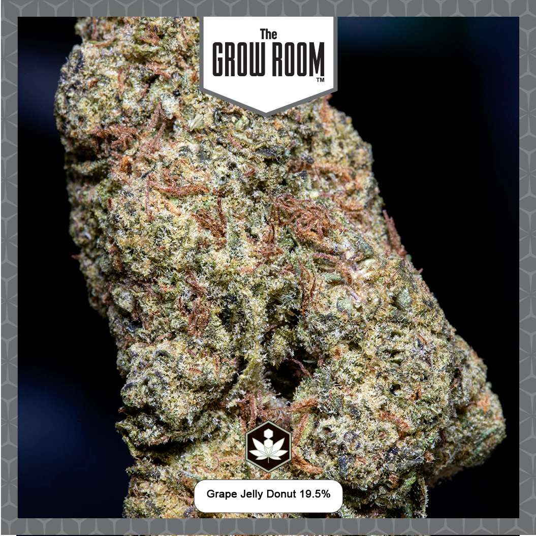 Grow Room THCa Grape Jelly Donut